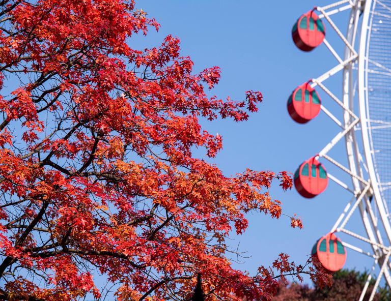 【My Korea．潮遊韓國】義王鐵道自行車+愛寶樂園+德壽宮石牆路+N首爾塔5天